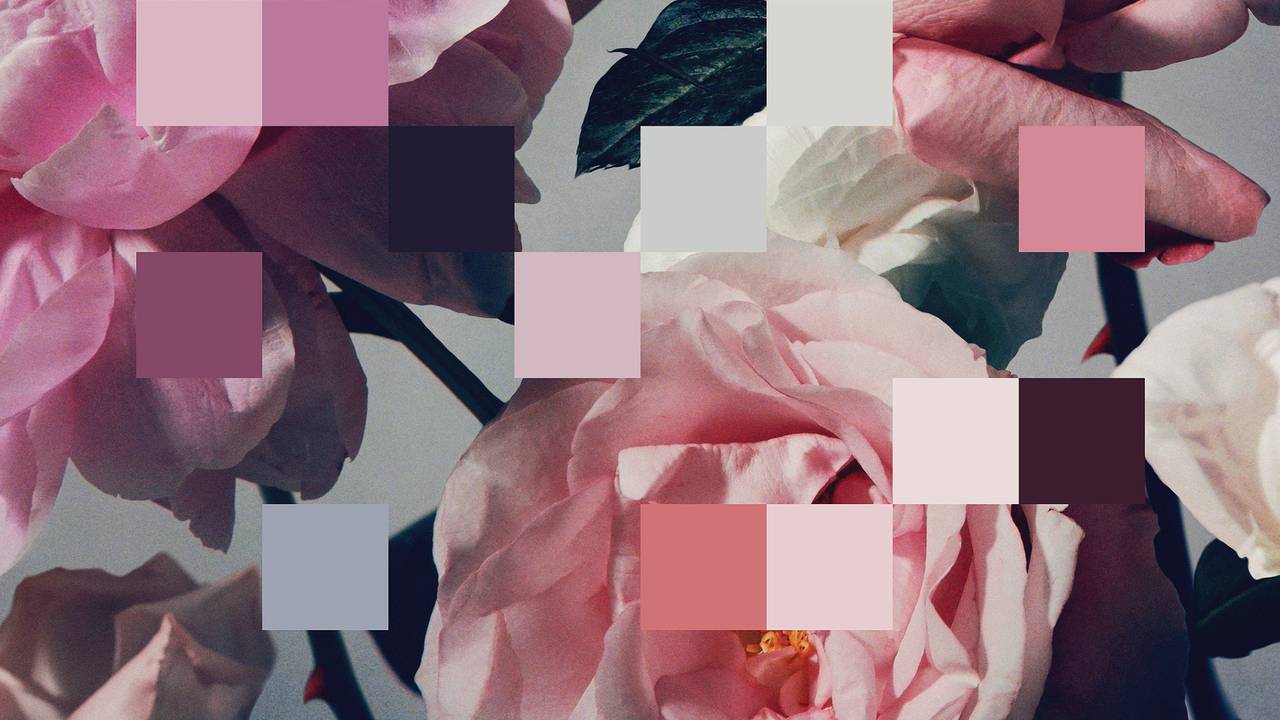 Java 开发者学 C++（四）：类型系统进阶